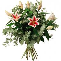 Pour rendre hommage à Liliane MULLER et transmettre votre soutien, témoignez votre présence avec une composition de fleurs fraîches personnalisées par vous