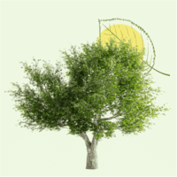 Pour rendre hommage à Paul JACQUET et transmettre votre soutien, témoignez votre présence en plantant un arbre en sa mémoire