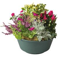 Composition Douces pensées