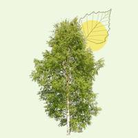 Pour rendre hommage à Marie-Thérèse BIASSE  et transmettre votre soutien, témoignez votre présence en plantant un arbre en sa mémoire