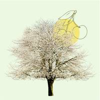 Pour rendre hommage à Olivier DAHIREL  et transmettre votre soutien, témoignez votre présence en plantant un arbre en sa mémoire