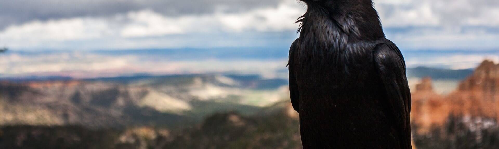 Représentation de la mort dans la mythologie Dans Nos Coeurs
