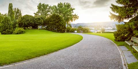 Quelle distance entre chaque arbre ?