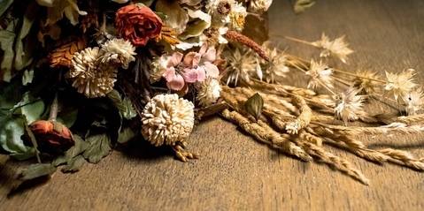 Fleurs Fanées Après Les Obsèques Que Faire Dans Nos Coeurs