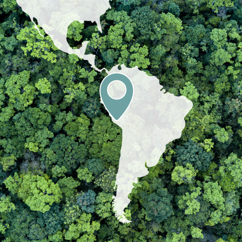 Parcelle de plantation des arbres Hommage sur une carte