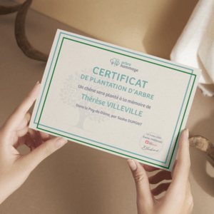 Exemple de certificat de plantation