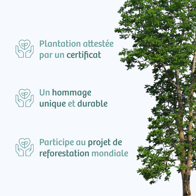 Illustration sur les arbres Hommage